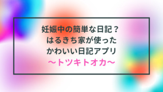 妊娠中の簡単な日記